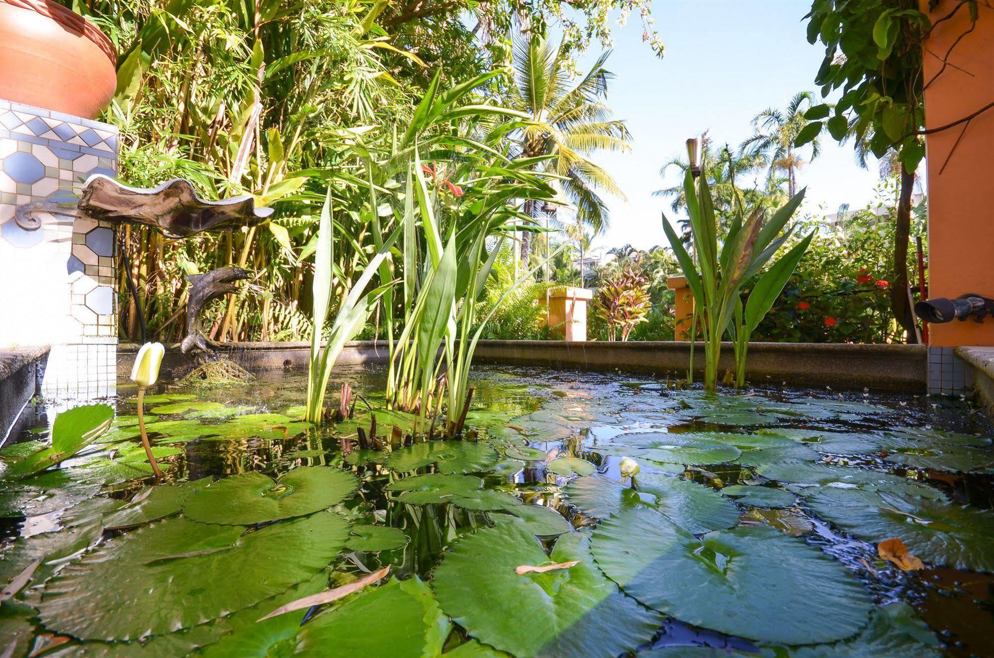 Martinique On Macrossan Aparthotel Port Douglas Kültér fotó